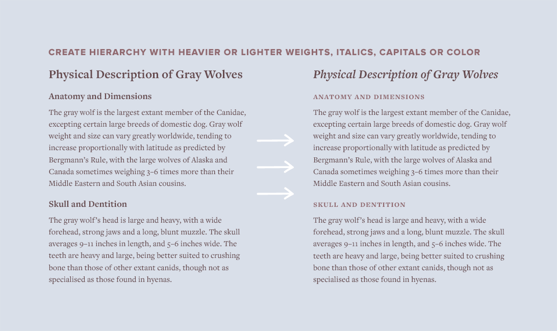 Create hierarchy with heavier or lighter weights, italics, capitals or color